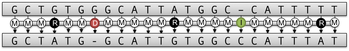 A transcript between two aligned sequences.
