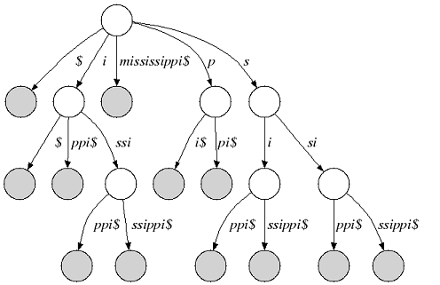 Suffix Tree — SeqAn 1.4.2 documentation